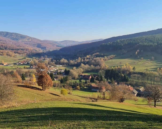 a scenic view of a valley in the mountains